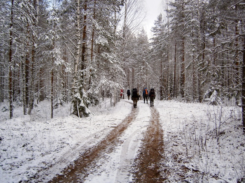 Макарьевский район