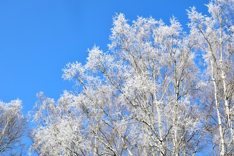 Снежная бахрома