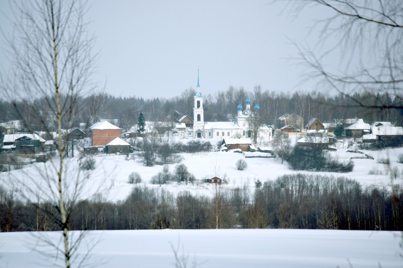 Село Домнино