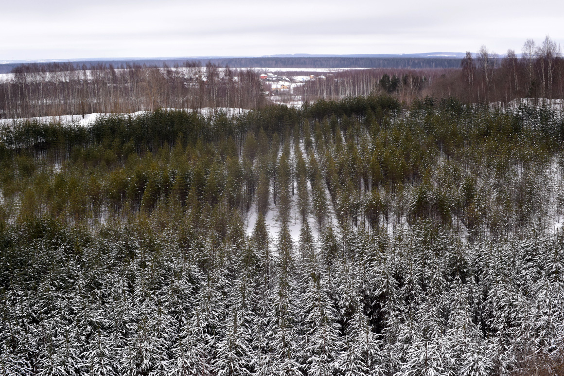 Солониково