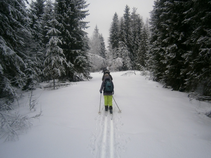 6 марта 2016 года