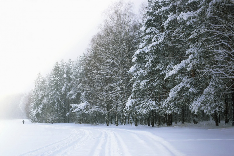 Малышково 2018