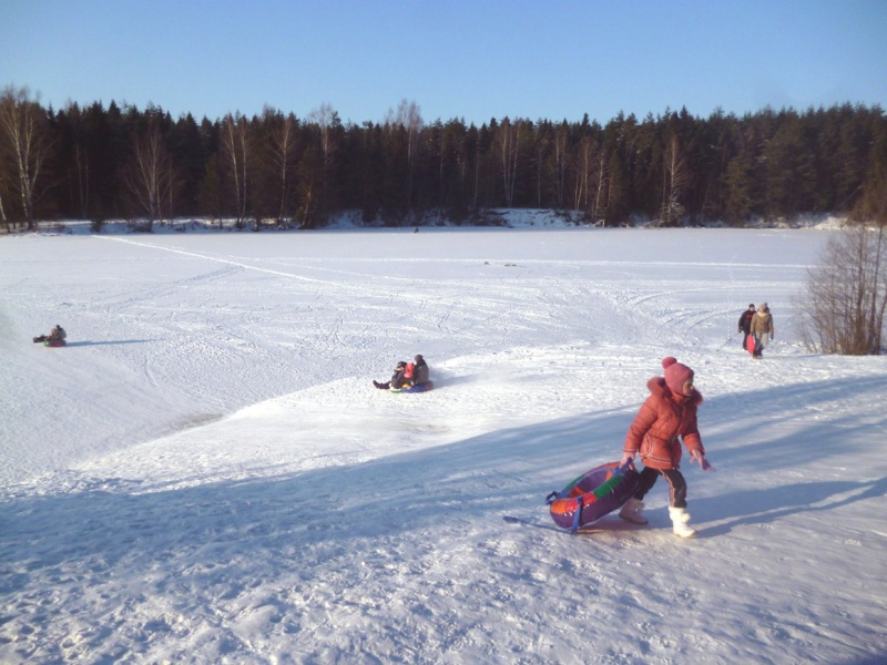 Сосновый бор