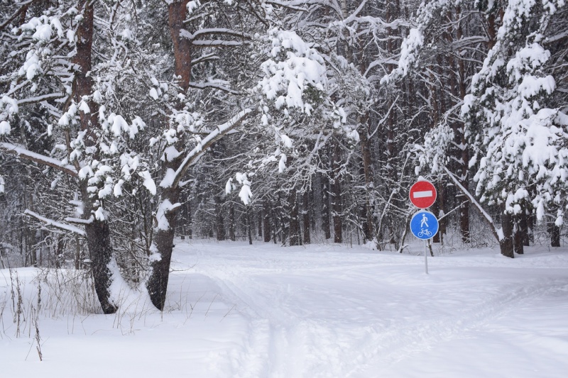Проезд запрещен, лыжня!